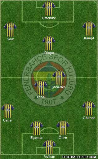 Fenerbahçe SK Formation 2014