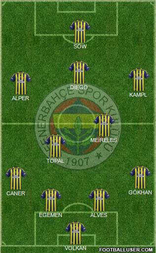 Fenerbahçe SK Formation 2014