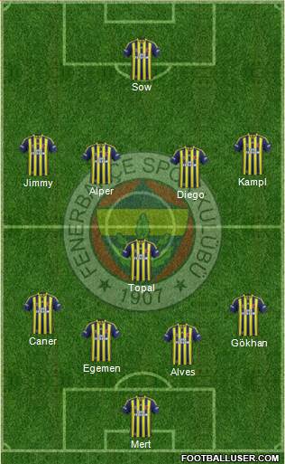 Fenerbahçe SK Formation 2014