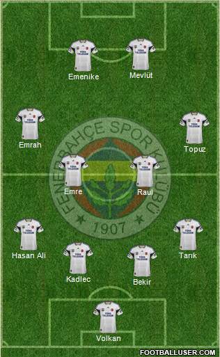 Fenerbahçe SK Formation 2014