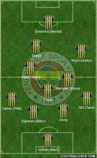 Fenerbahçe SK Formation 2014