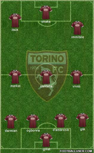 Torino Formation 2014