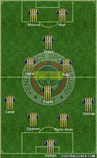 Fenerbahçe SK Formation 2014
