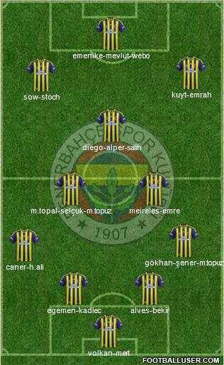 Fenerbahçe SK Formation 2014