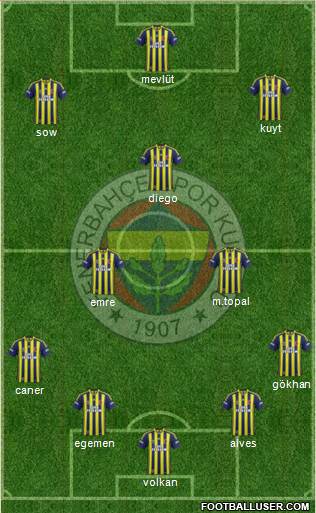 Fenerbahçe SK Formation 2014