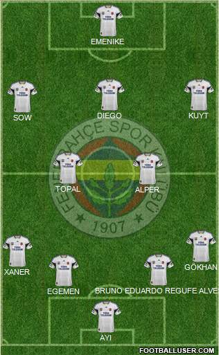 Fenerbahçe SK Formation 2014