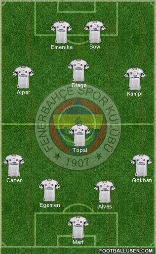 Fenerbahçe SK Formation 2014