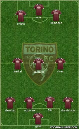 Torino Formation 2014