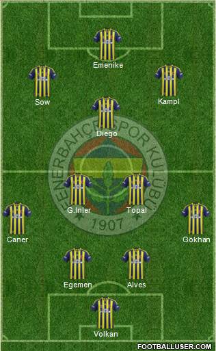 Fenerbahçe SK Formation 2014