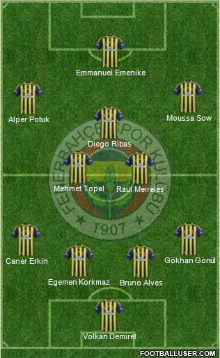 Fenerbahçe SK Formation 2014