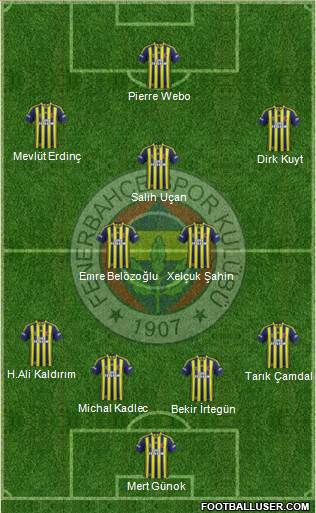 Fenerbahçe SK Formation 2014