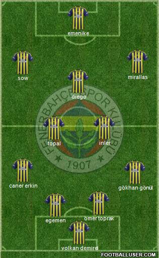 Fenerbahçe SK Formation 2014