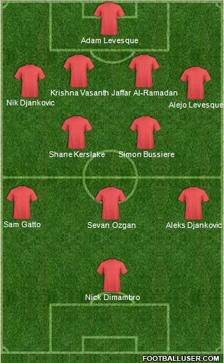 Newcastle United Formation 2014