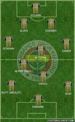 Fenerbahçe SK Formation 2014