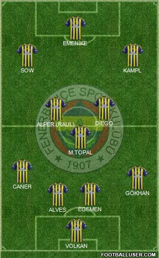 Fenerbahçe SK Formation 2014