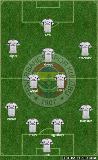 Fenerbahçe SK Formation 2014