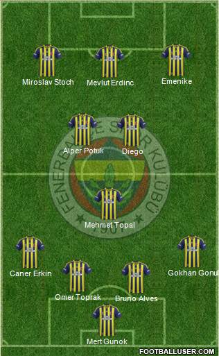Fenerbahçe SK Formation 2014