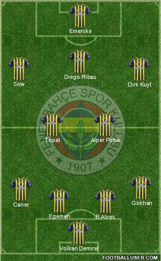 Fenerbahçe SK Formation 2014