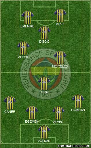 Fenerbahçe SK Formation 2014