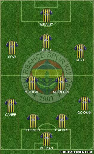 Fenerbahçe SK Formation 2014