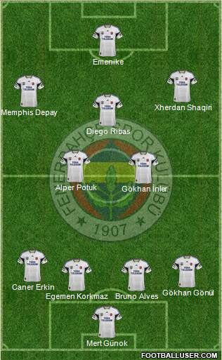 Fenerbahçe SK Formation 2014
