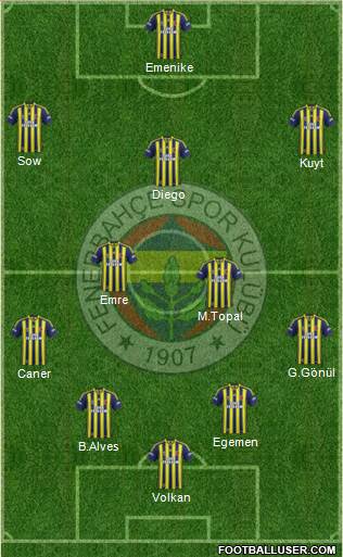 Fenerbahçe SK Formation 2014