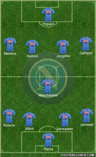 Napoli Formation 2014