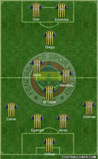 Fenerbahçe SK Formation 2014