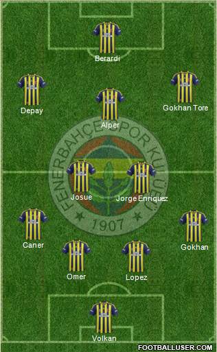 Fenerbahçe SK Formation 2014