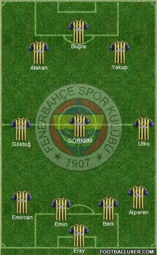 Fenerbahçe SK Formation 2014