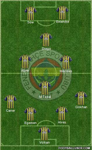 Fenerbahçe SK Formation 2014