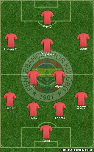 Fenerbahçe SK Formation 2014