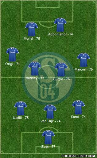 FC Schalke 04 Formation 2014
