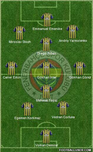 Fenerbahçe SK Formation 2014