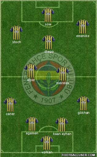 Fenerbahçe SK Formation 2014