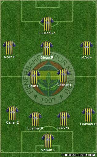 Fenerbahçe SK Formation 2014