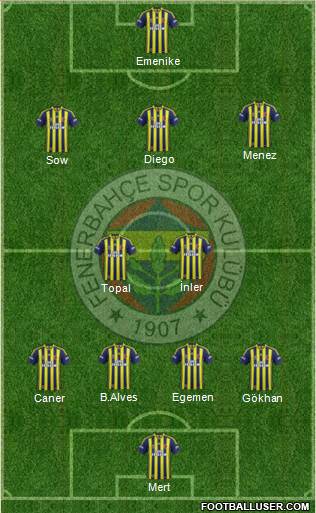 Fenerbahçe SK Formation 2014