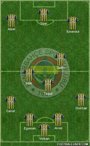 Fenerbahçe SK Formation 2014