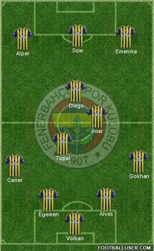 Fenerbahçe SK Formation 2014