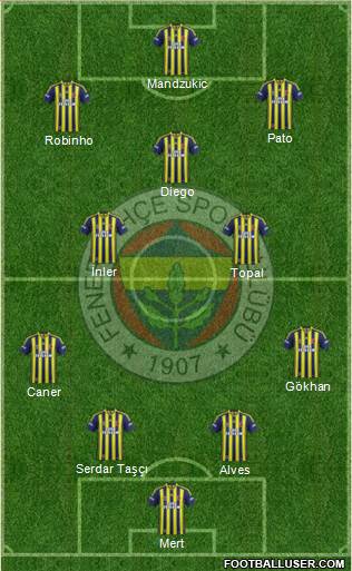 Fenerbahçe SK Formation 2014