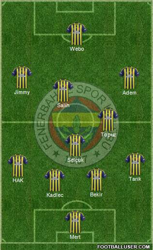 Fenerbahçe SK Formation 2014