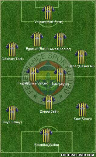 Fenerbahçe SK Formation 2014