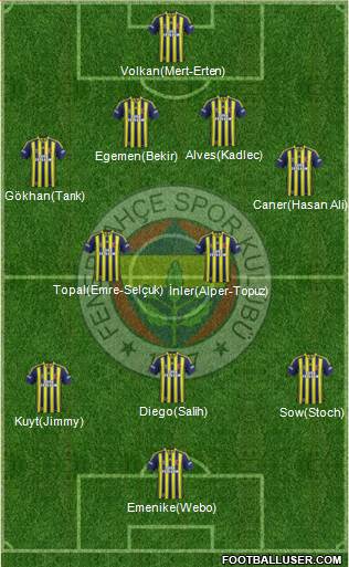 Fenerbahçe SK Formation 2014