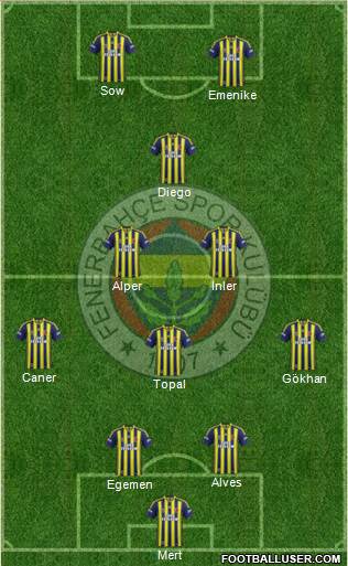 Fenerbahçe SK Formation 2014