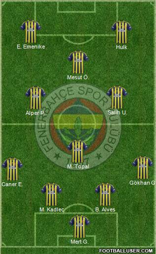 Fenerbahçe SK Formation 2014