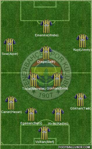 Fenerbahçe SK Formation 2014