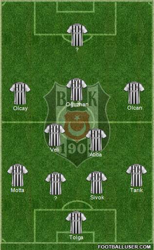 Besiktas JK Formation 2014
