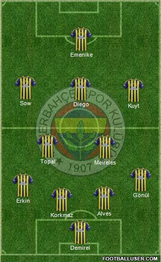 Fenerbahçe SK Formation 2014