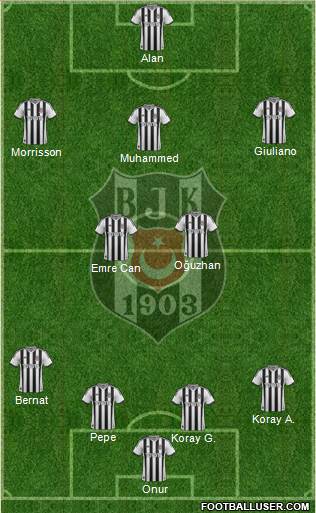 Besiktas JK Formation 2014