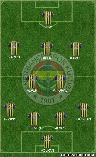 Fenerbahçe SK Formation 2014